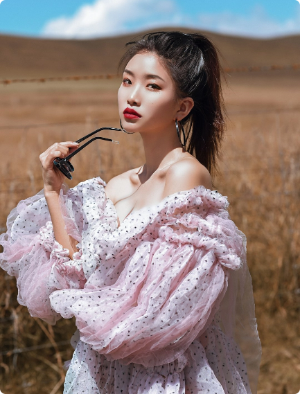 Butterfly Hair Clips