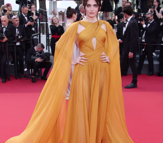 Cannes Shortlist 2024